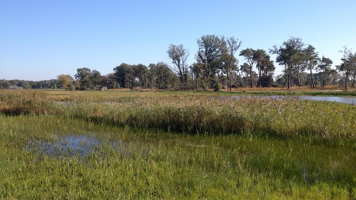 Empense heide en Tondense heide