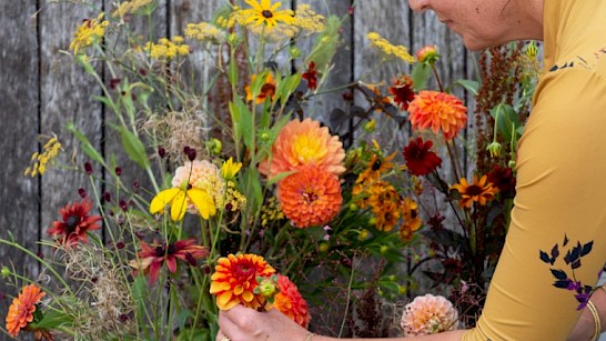 Doo 't zelf - Gele zonnehoed ofwel Rudbeckia