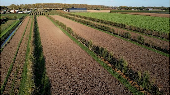 Ambts en Rijkspad in Winssen