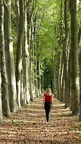 Soms is de temperatuur zo heerlijk dat je zelfs zonder jas een herfstwandeling kunt maken.