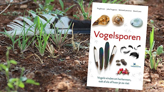 Vogelsporen