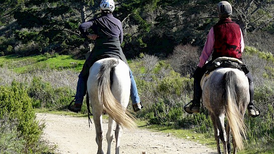 te paard over de Holterberg